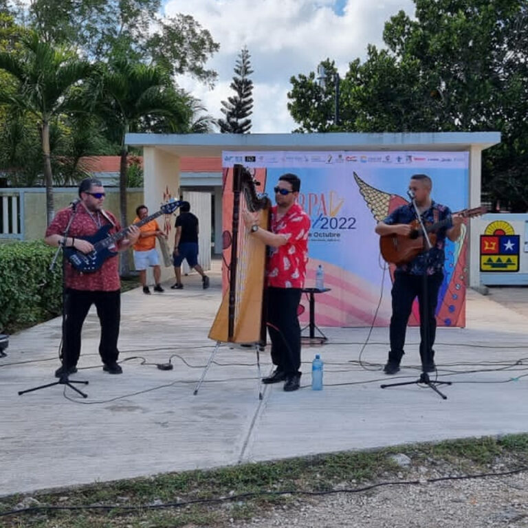 Presentación en vivo